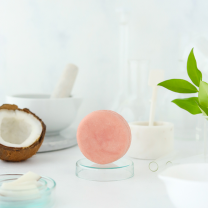 Konsantre Katı Şampuan, No:2, Besleyici, Yenileyici, Doğal, Sürdürülebilir, Vegan