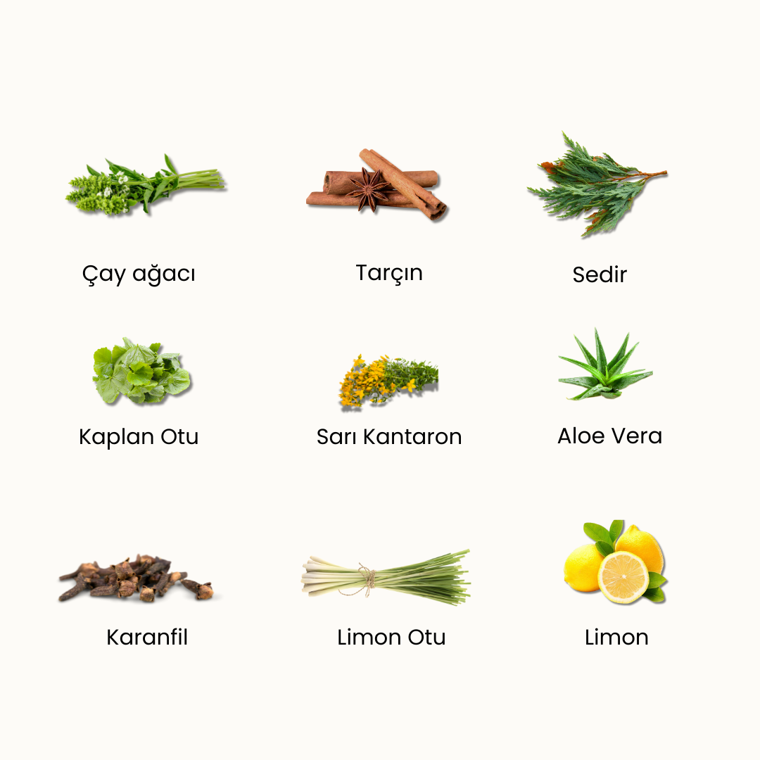 Purify – Rozalı ve Akneye Yatkın Ciltler İçin Sivilce Karşıtı Lokal Serum, Doğal & Temiz İçerik