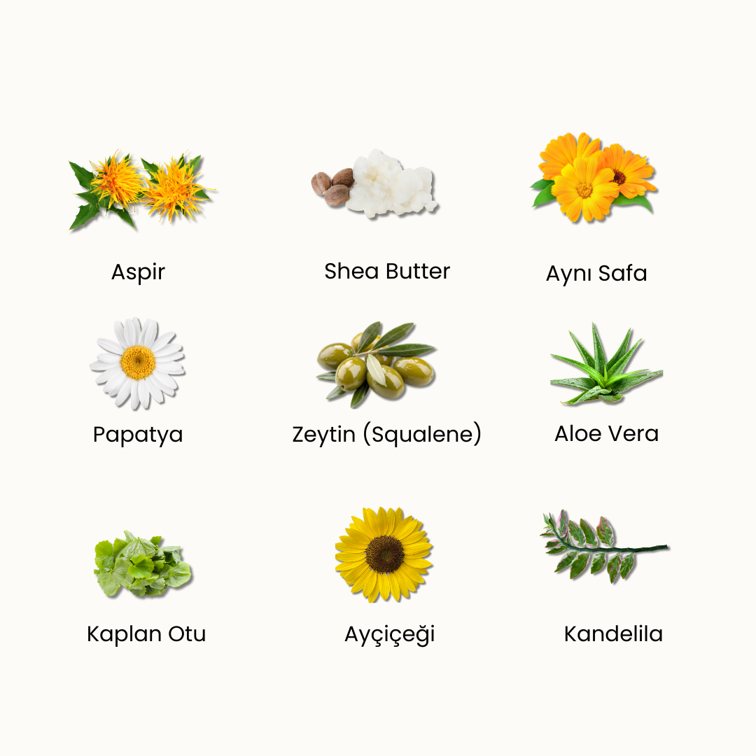 Delicate Balm – Kuruluk, Tahriş ve Hassasiyet İçin Koruyucu & Onarıcı Balm, Doğal & Temiz İçerik