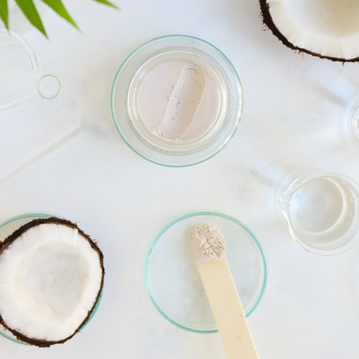 Natural Deo- Doğal Krem Deodorant - Limon Çimeni